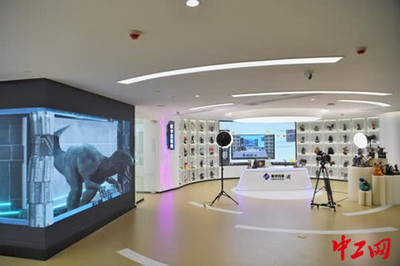 重慶南岸區(qū)實(shí)現(xiàn)5G全覆蓋，網(wǎng)絡(luò)技術(shù)服務(wù)強(qiáng)力驅(qū)動(dòng)智能制造新飛躍